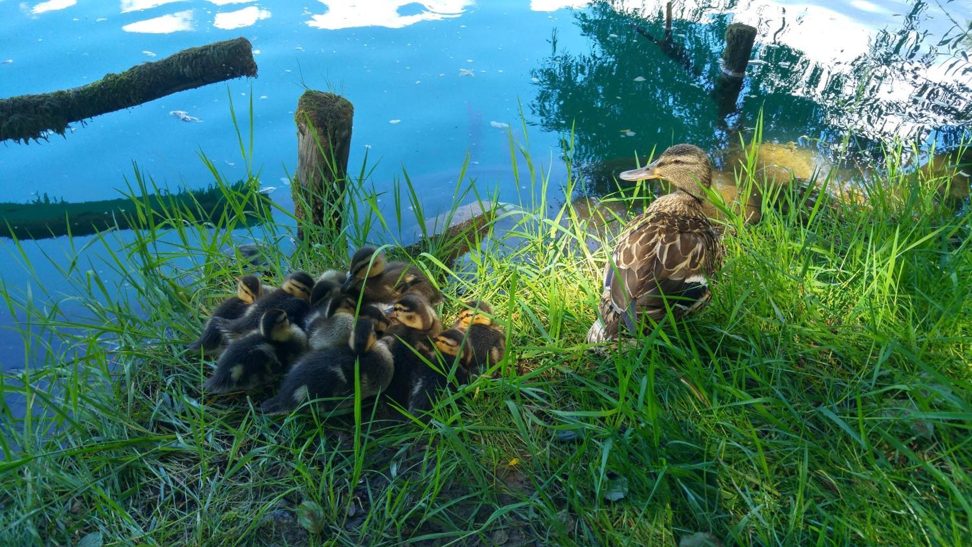 Fortuna Holiday Home Bihać 外观 照片