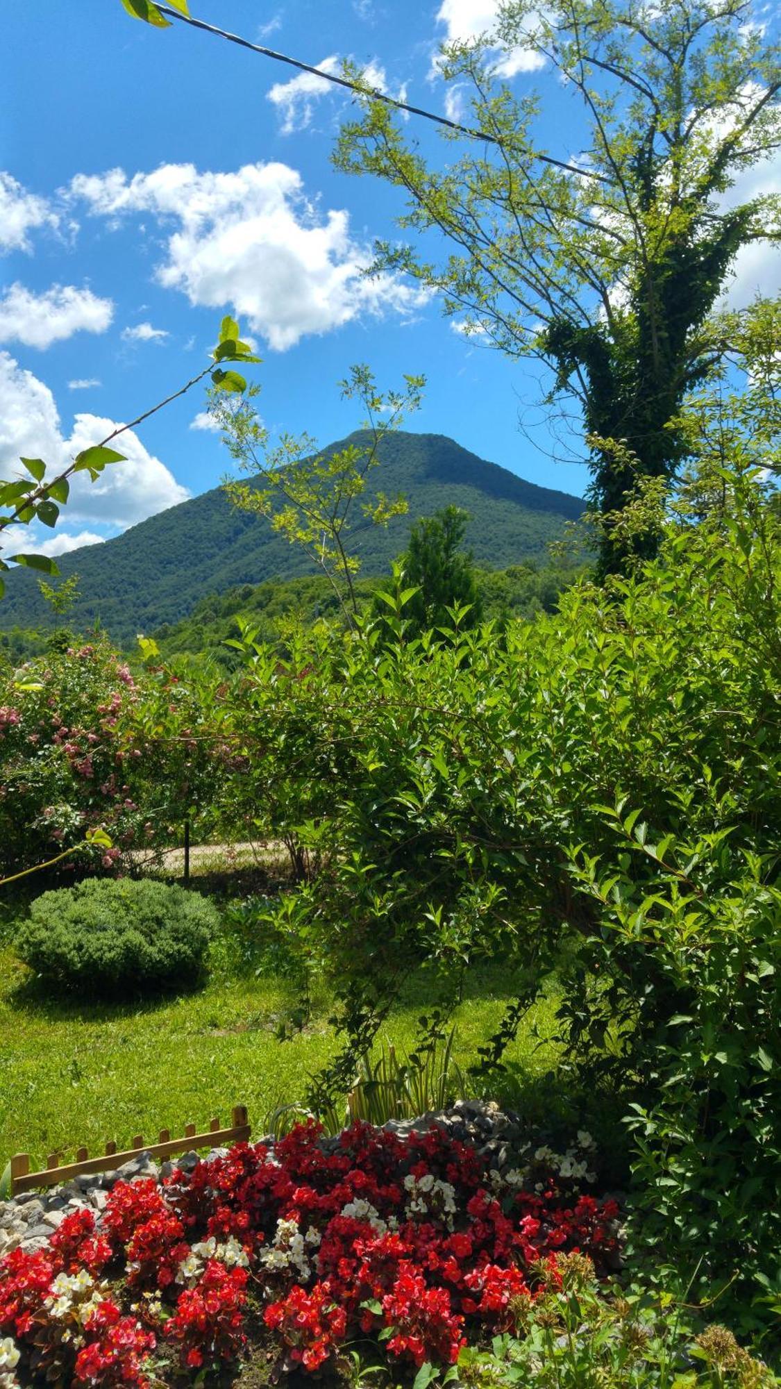 Fortuna Holiday Home Bihać 外观 照片